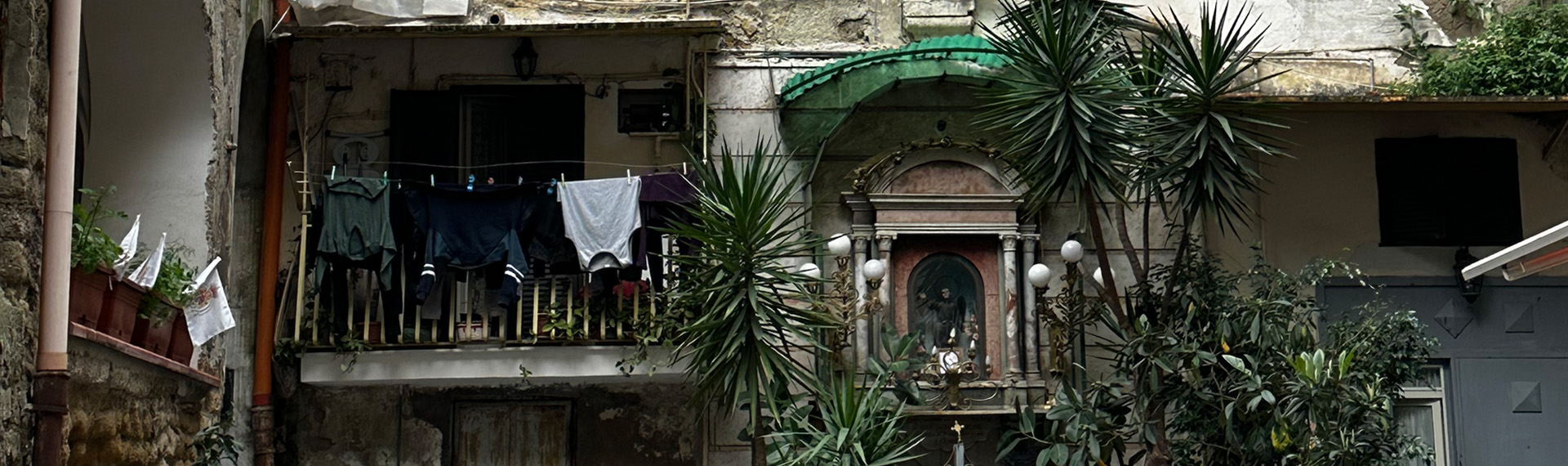 Foto einer Wäscheleine vor einem Balkon neben Pflanzen. 
