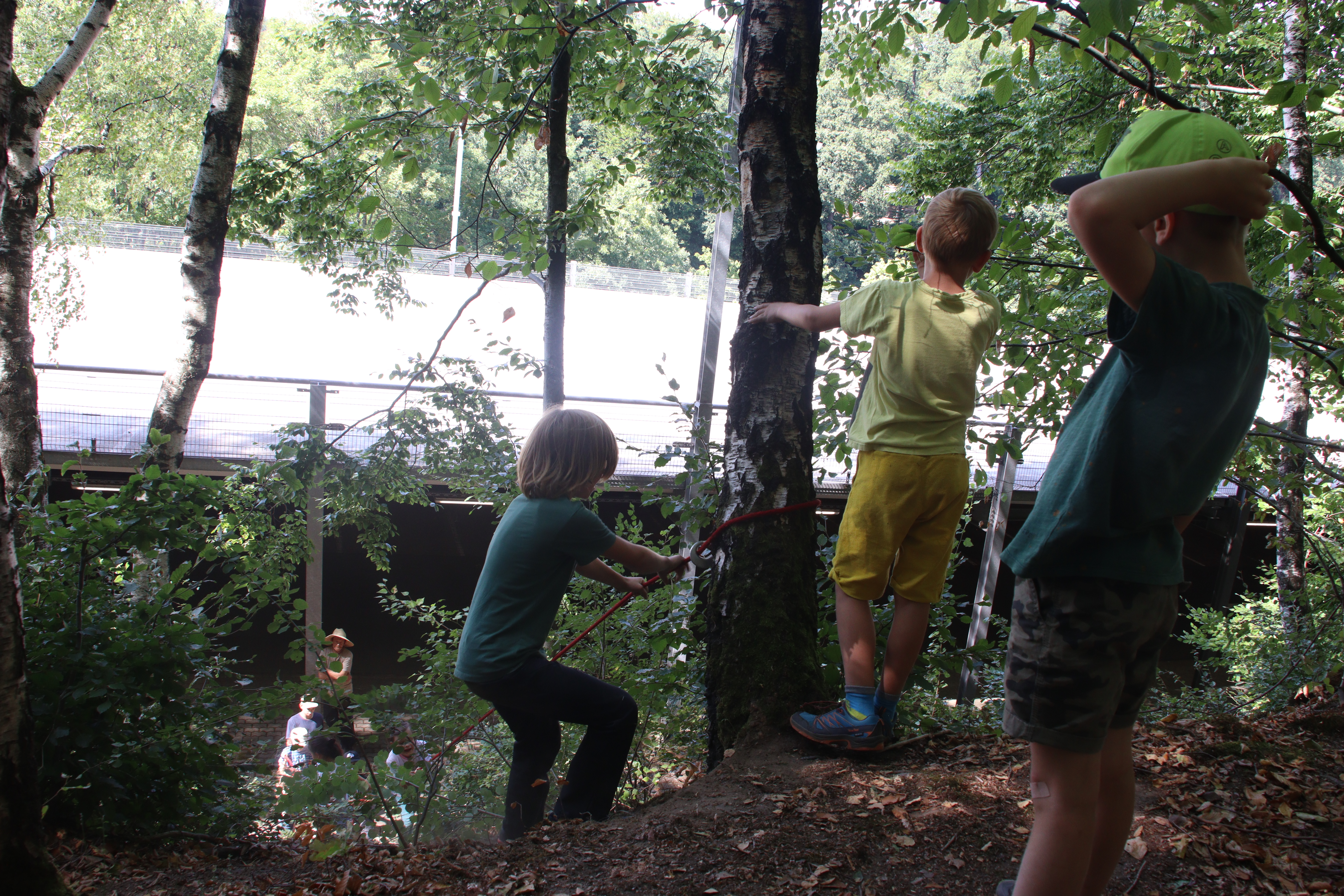 Impressionen FUNKT 2022: Kinder im Wald